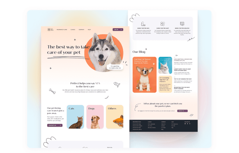Pet insurance website design